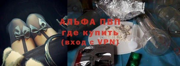стаф Алексин