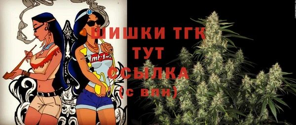 индика Абаза