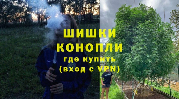 индика Абаза