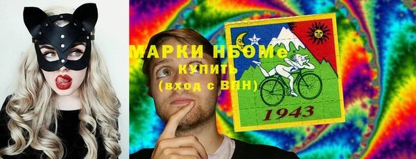 стаф Алексин