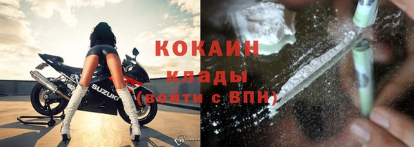 индика Абаза