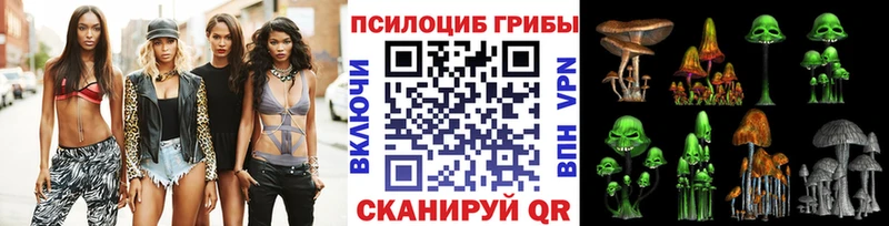 где купить Серпухов Псилоцибиновые грибы Psilocybine cubensis